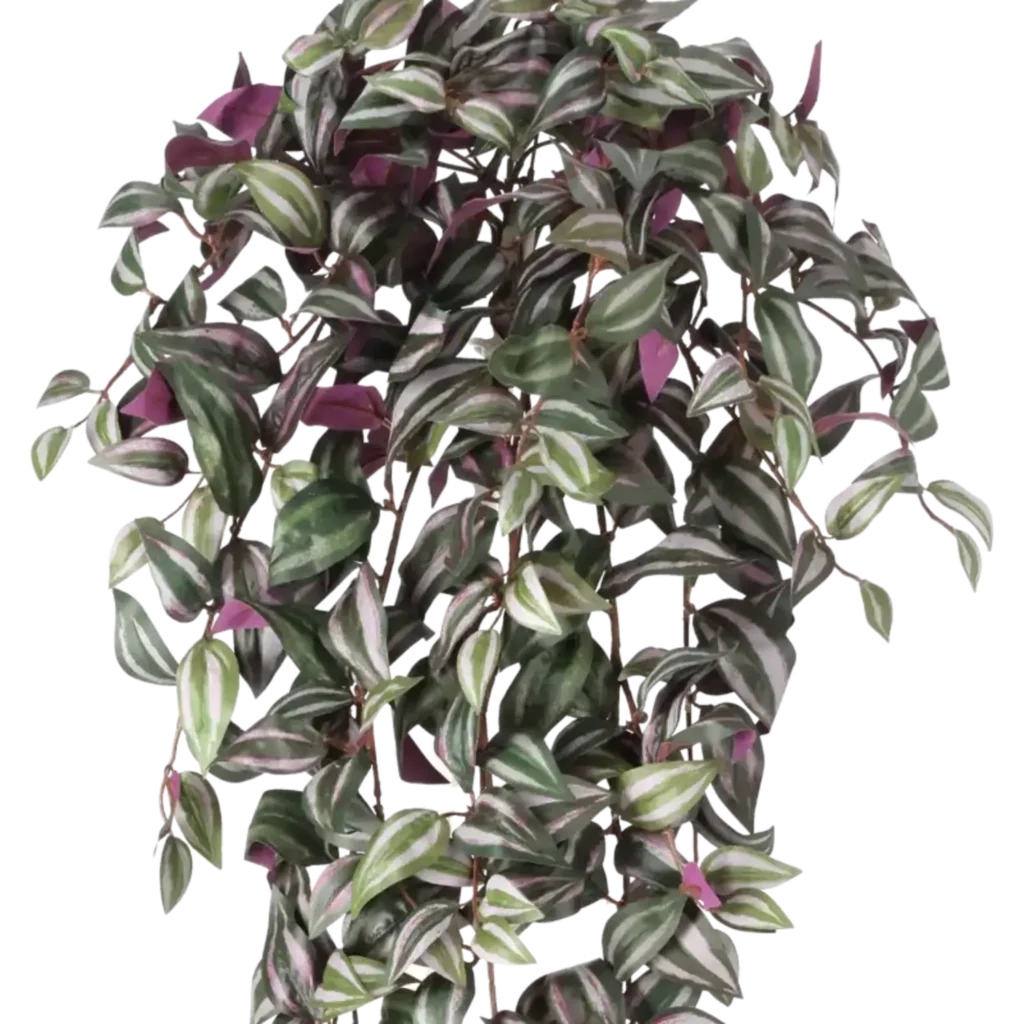 Closeup af Kunstig Tradescantia hængeplante L: 100 cm.