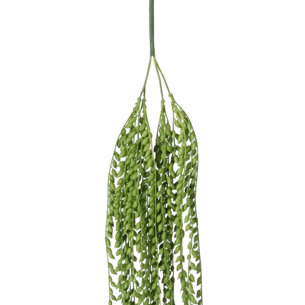 Closeup af Kunstig Senecio Pearl hængeplante L: 80 cm.