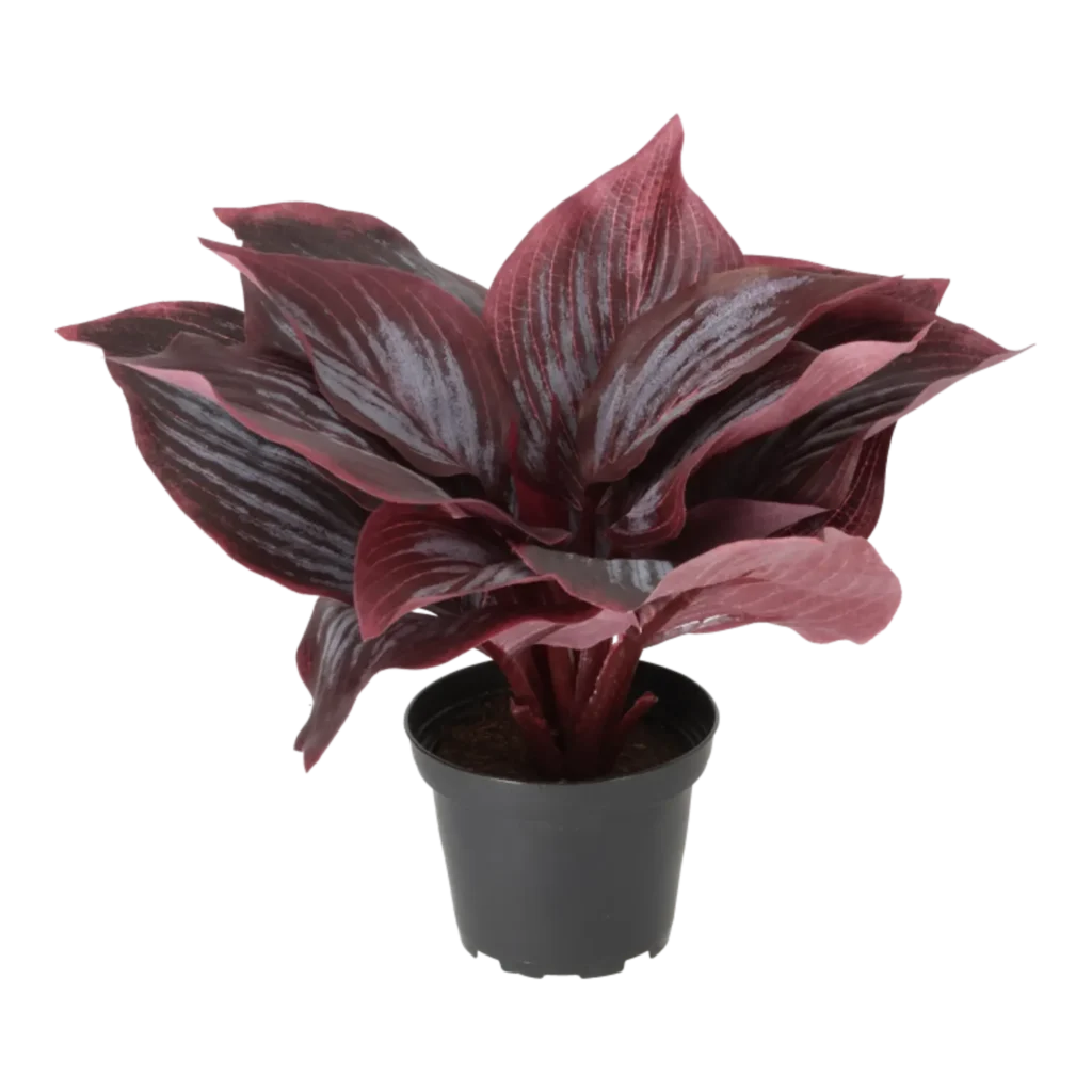 Kunstig Hosta H: 20 cm.