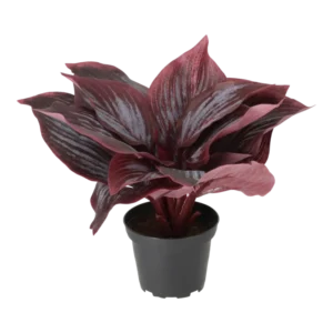 Kunstig Hosta H: 20 cm.