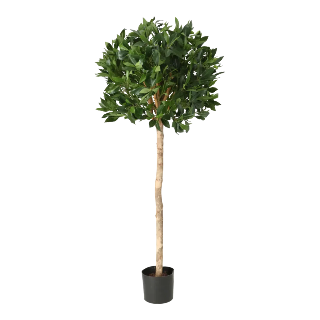 Kunstig Laurbær H: 120 cm.