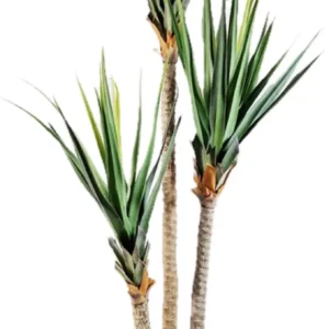 Kunstig Pandanus H: 240 cm.