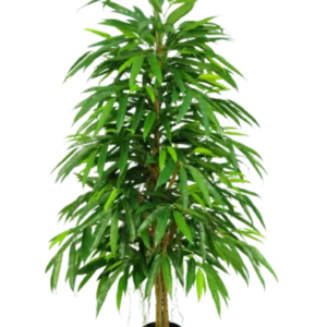 Kunstig longifolia træ - H: 140 cm.