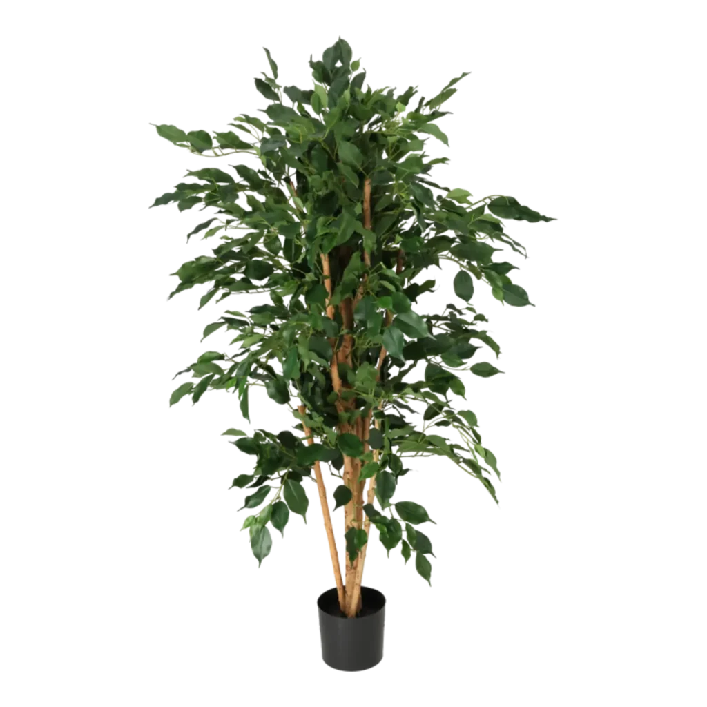 Kunstig Ficus Benjamina H: 140 cm.