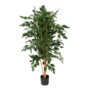 Kunstig Ficus Benjamina H: 140 cm.