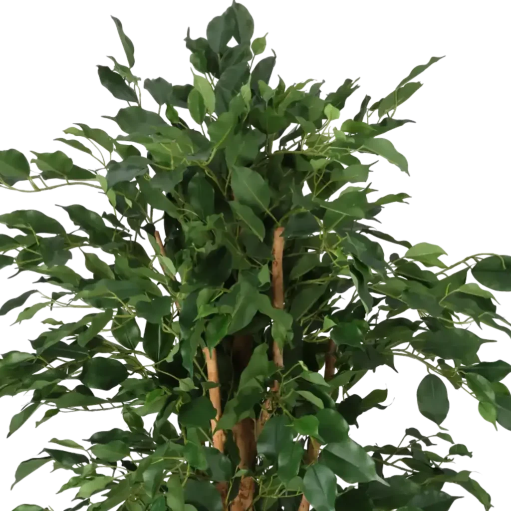 Closeup af Kunstig Ficus Benjamina H: 140 cm.