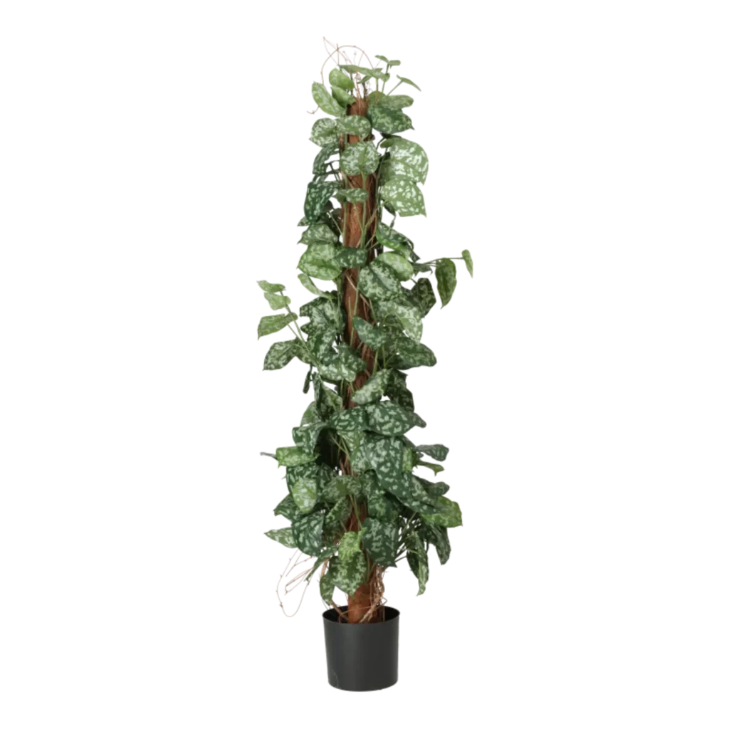 Kunstig Scindapsus H: 130 cm.
