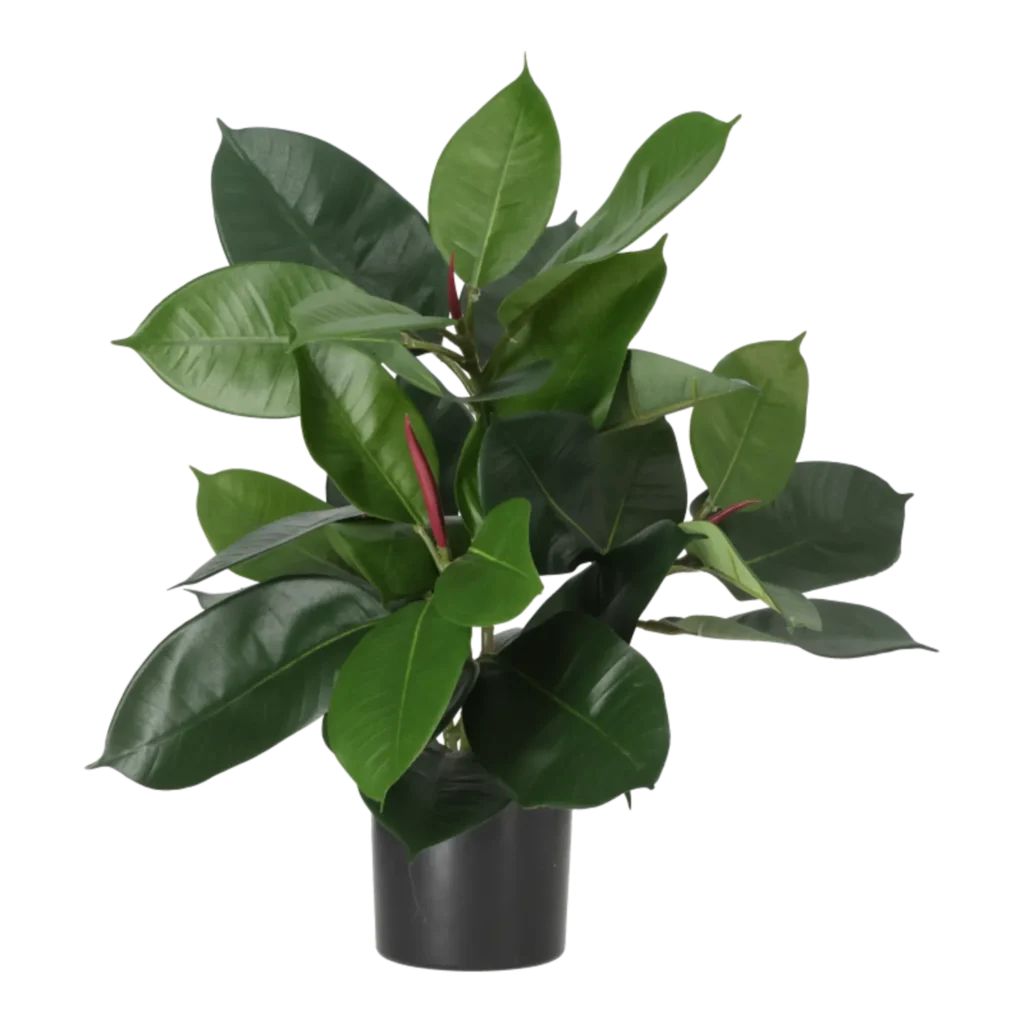 Kunstig gummiplante - H: 38 cm.