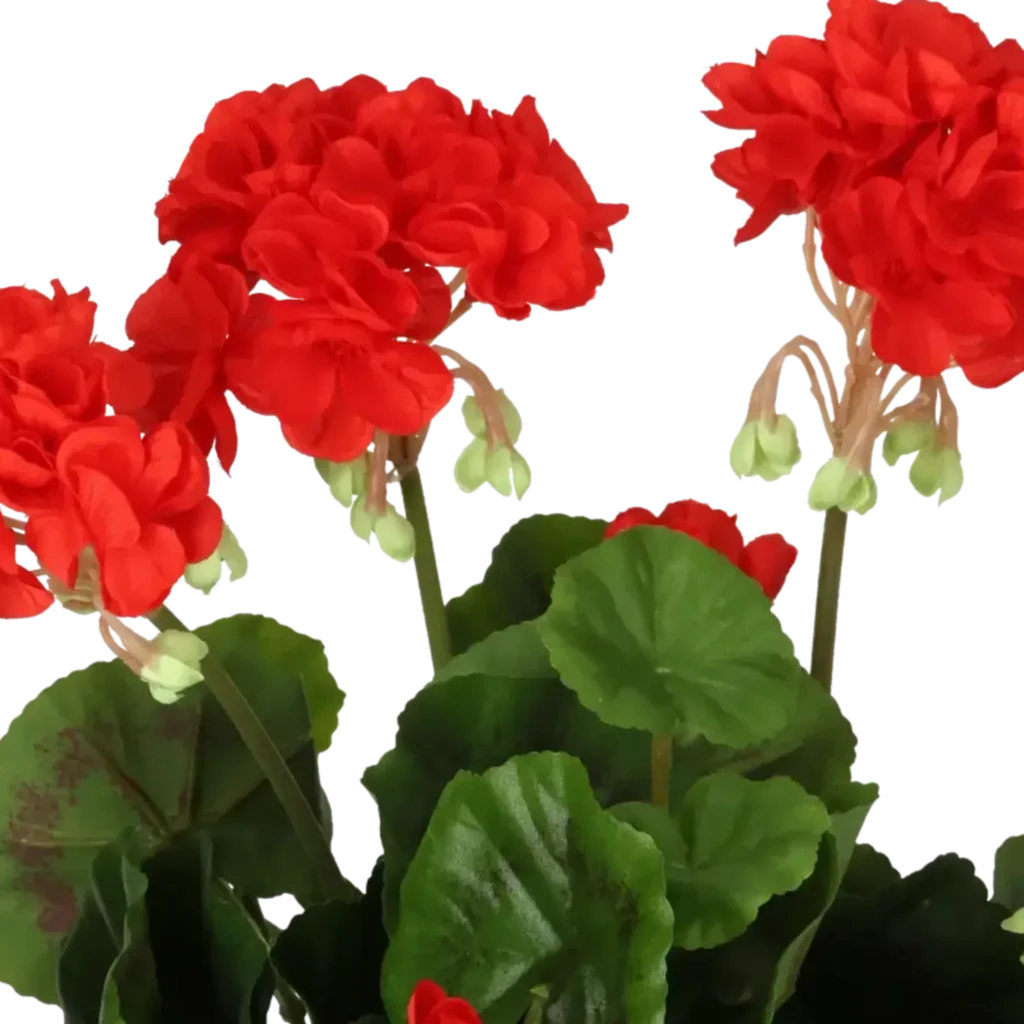 Closeup af Kunstig Pelargonie busk rød - H: 29 cm.