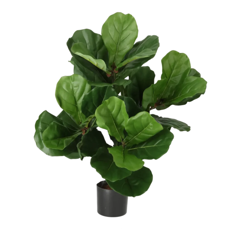 Kunstig violinfigen - H: 65 cm.