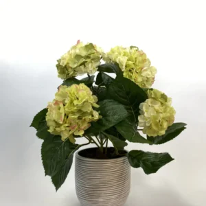Kunstig hortensia limegrøn - H: 41 cm.