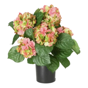 Kunstig hortensia rosa/lime - H: 41 cm.