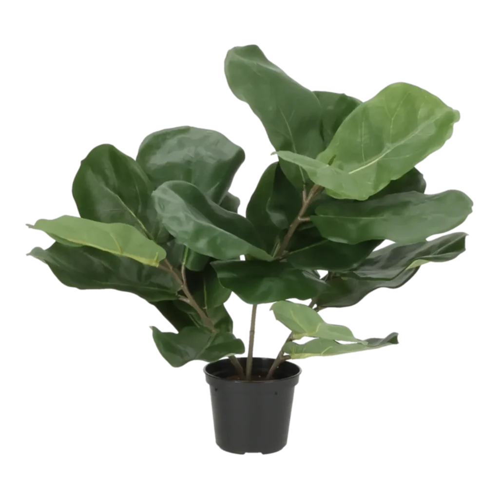 Kunstig violinfigen - H: 40 cm.