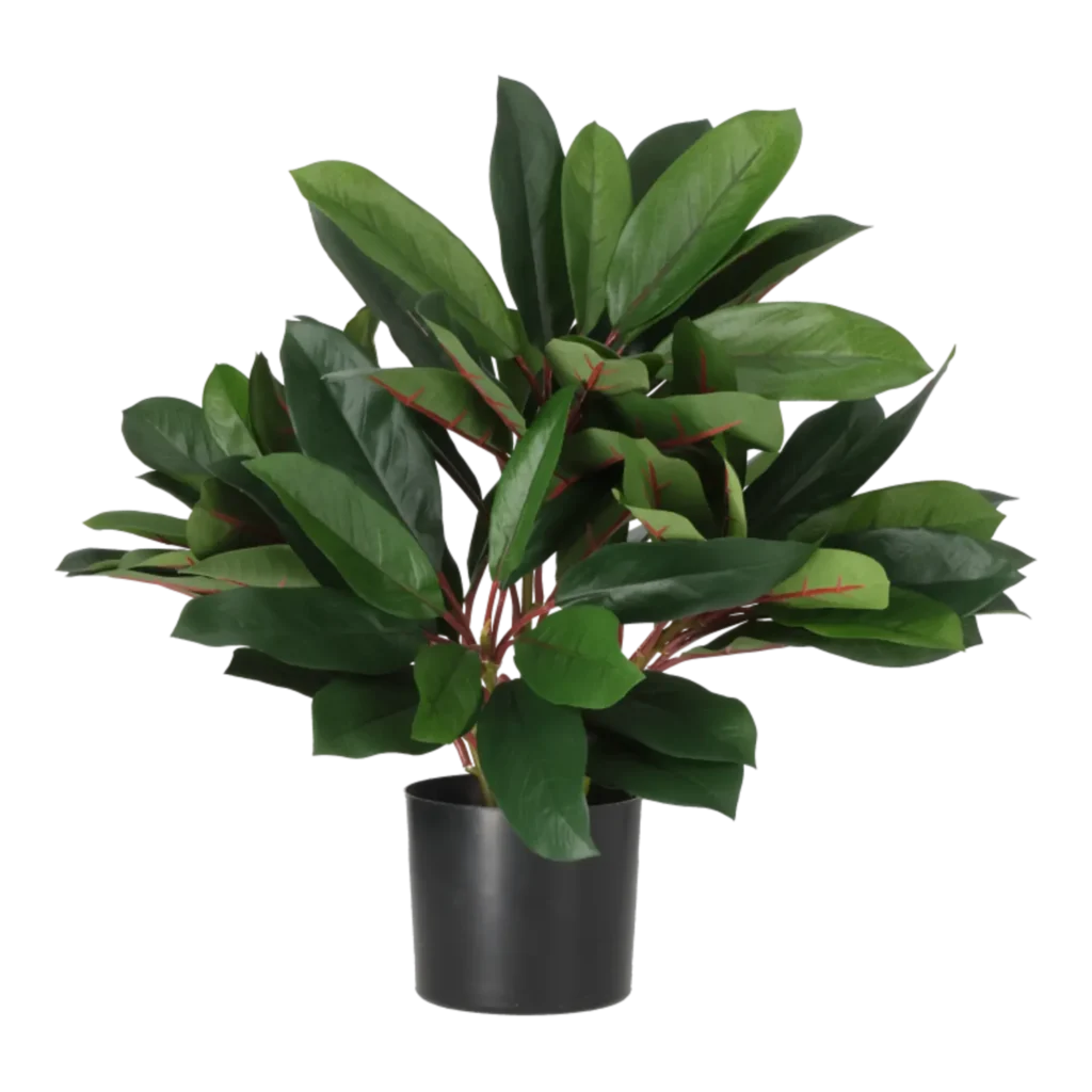 Kunstig schefflera rød/grøn - H: 35 cm.