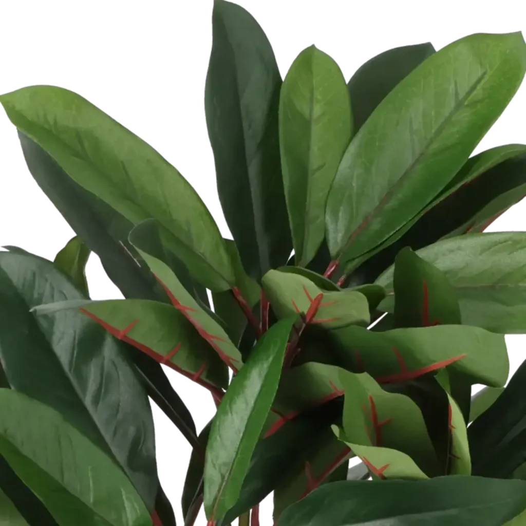 Closeup af Kunstig schefflera rød/grøn - H: 35 cm.