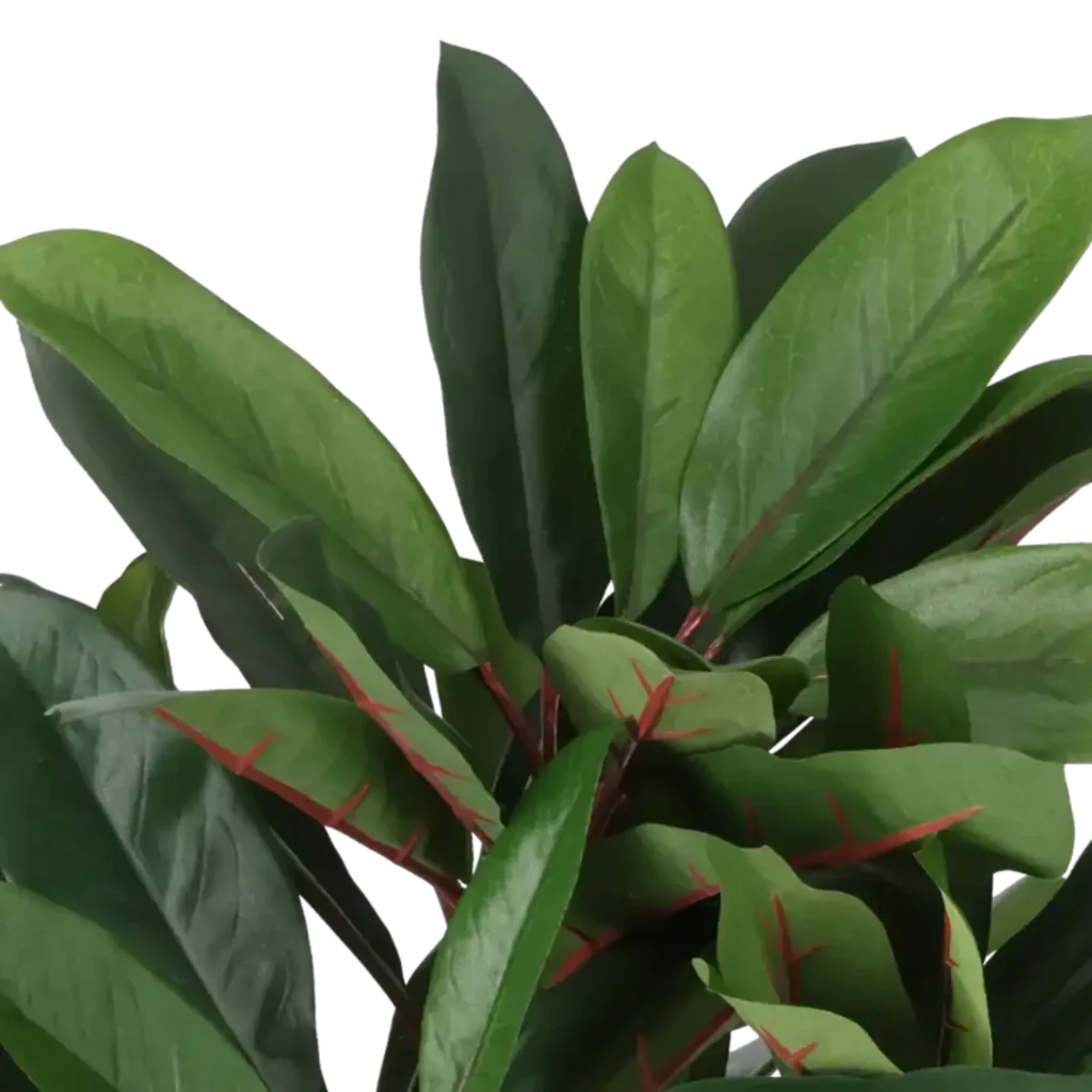 Closeup af Kunstig schefflera rød/grøn H: 35 cm.