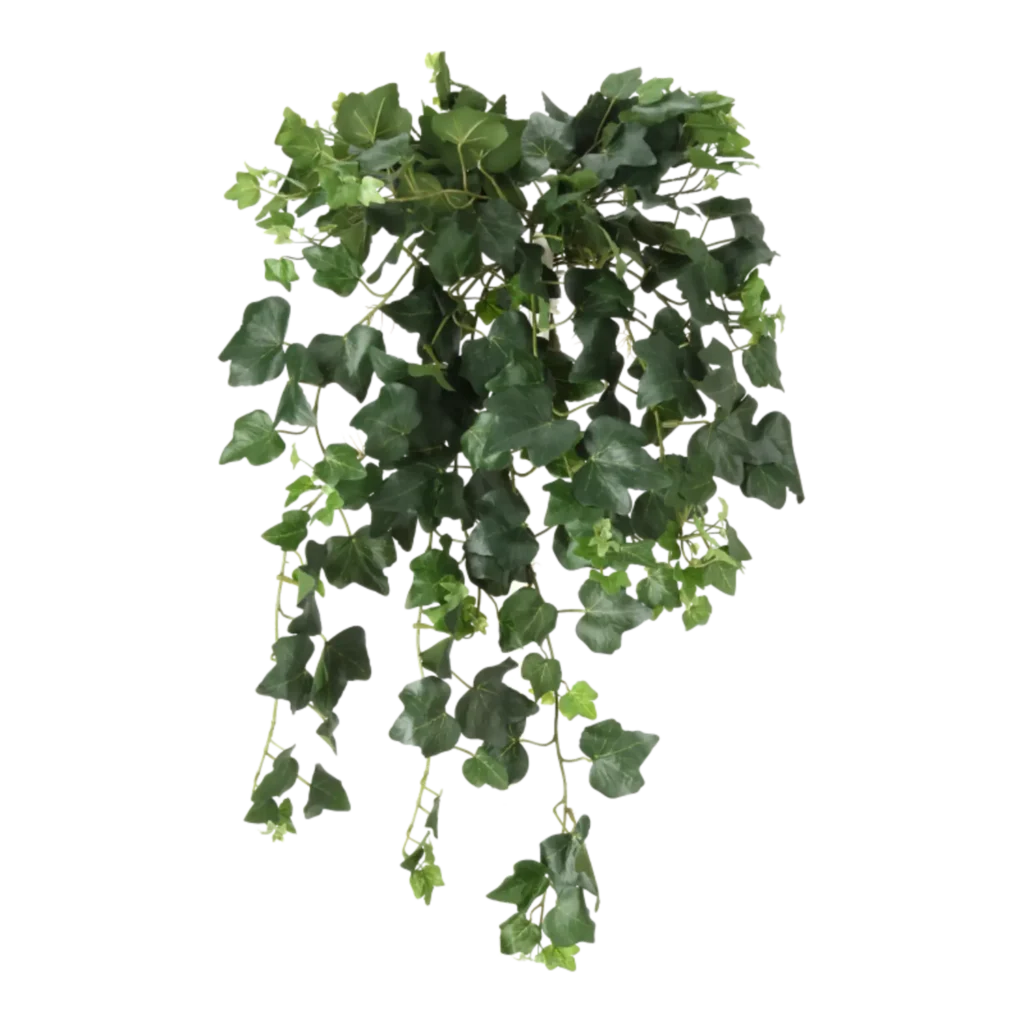 Kunstig Efeu hængeplante L: 65 cm.