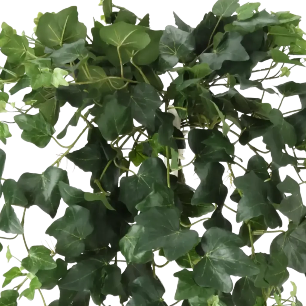 Closeup af Kunstig Efeu hængeplante L: 65 cm.