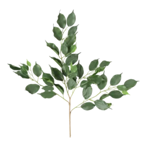 Kunstig ficus exotica gren FR.