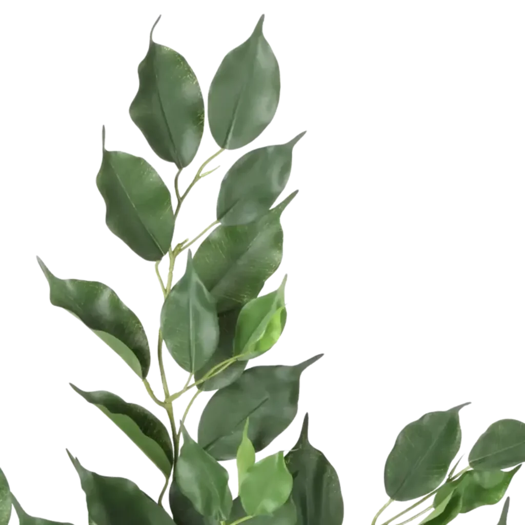 Closeup af Kunstig ficus exotica gren FR.