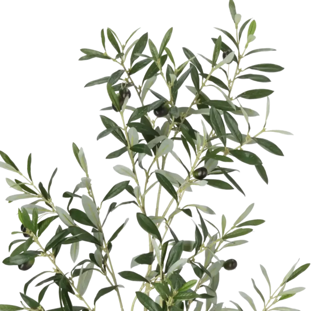 Closeup af Kunstig olivengren - L: 109 cm.