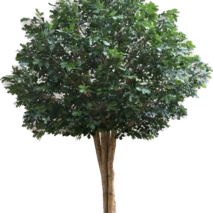 Kunstig Egetræ H: 370 cm.