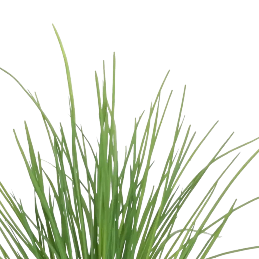 Closeup af Kunstig carex græs busk - H: 50 cm.