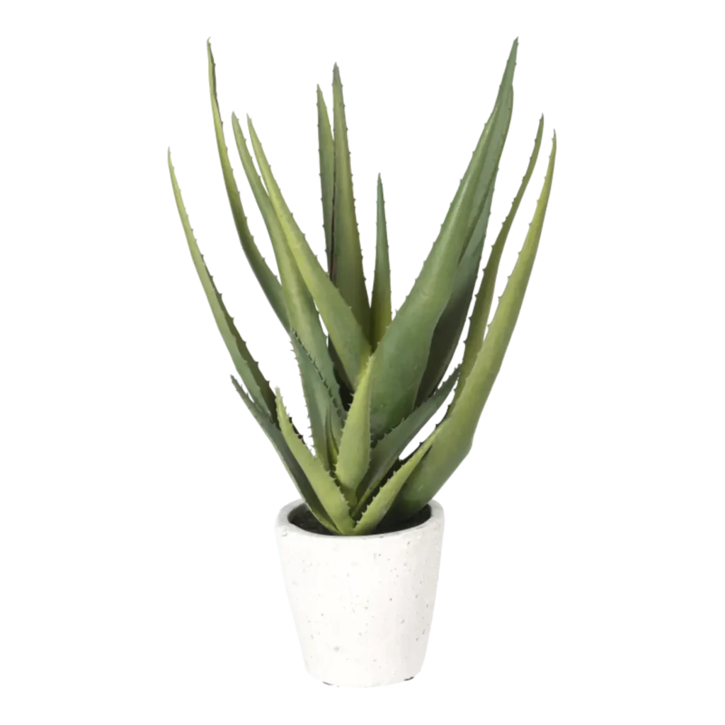 Kunstig Aloe Vera H: 35 cm.