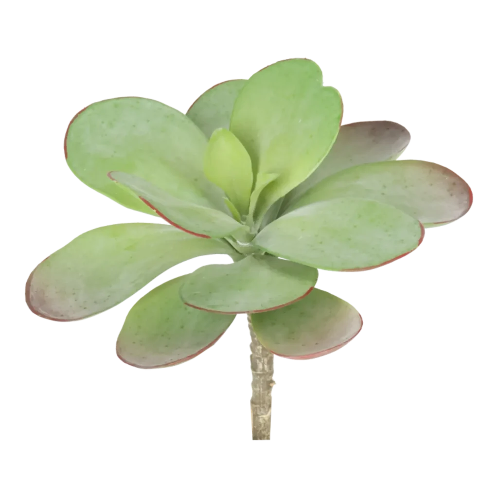 Kunstig succulent stilk - L: 18 cm.