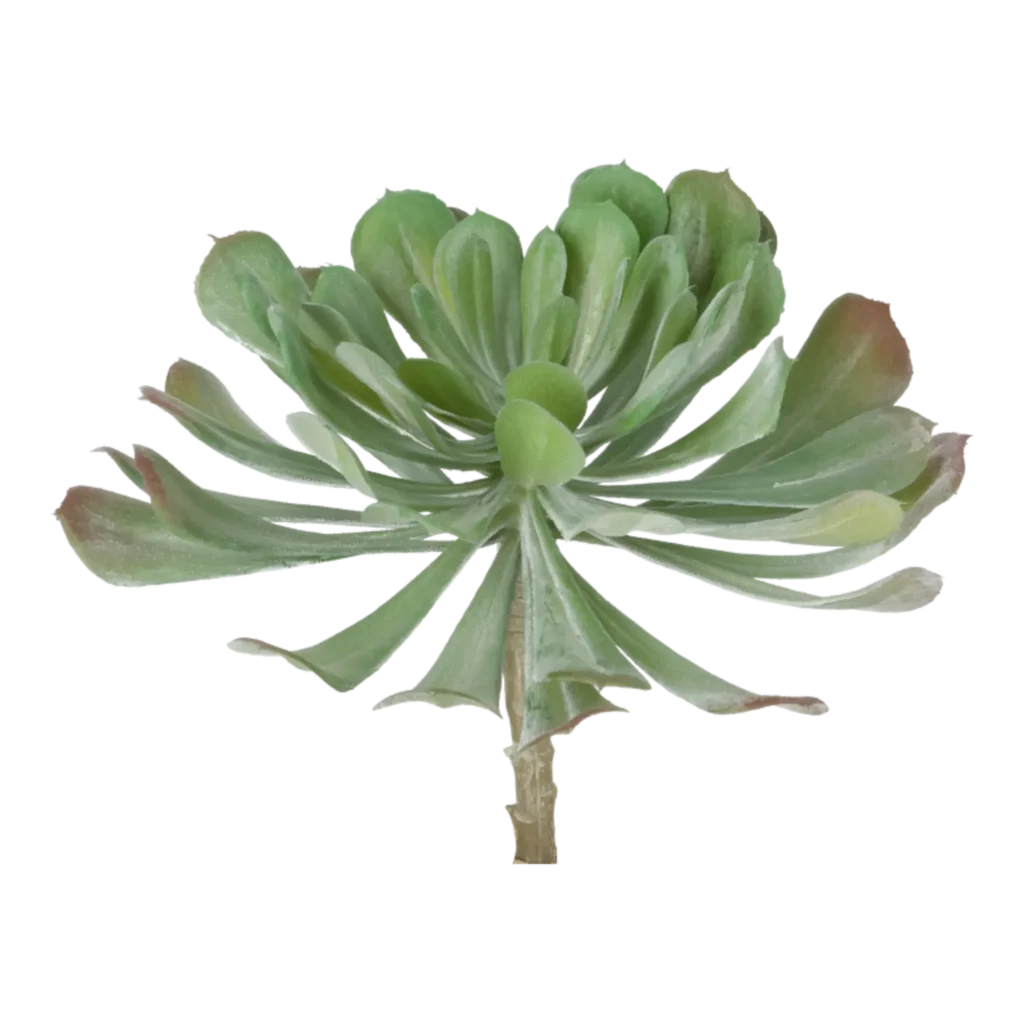 Kunstig Echeveria Ø: 20 cm.