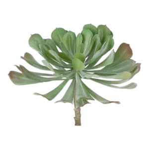 Kunstig Echeveria Ø: 20 cm.