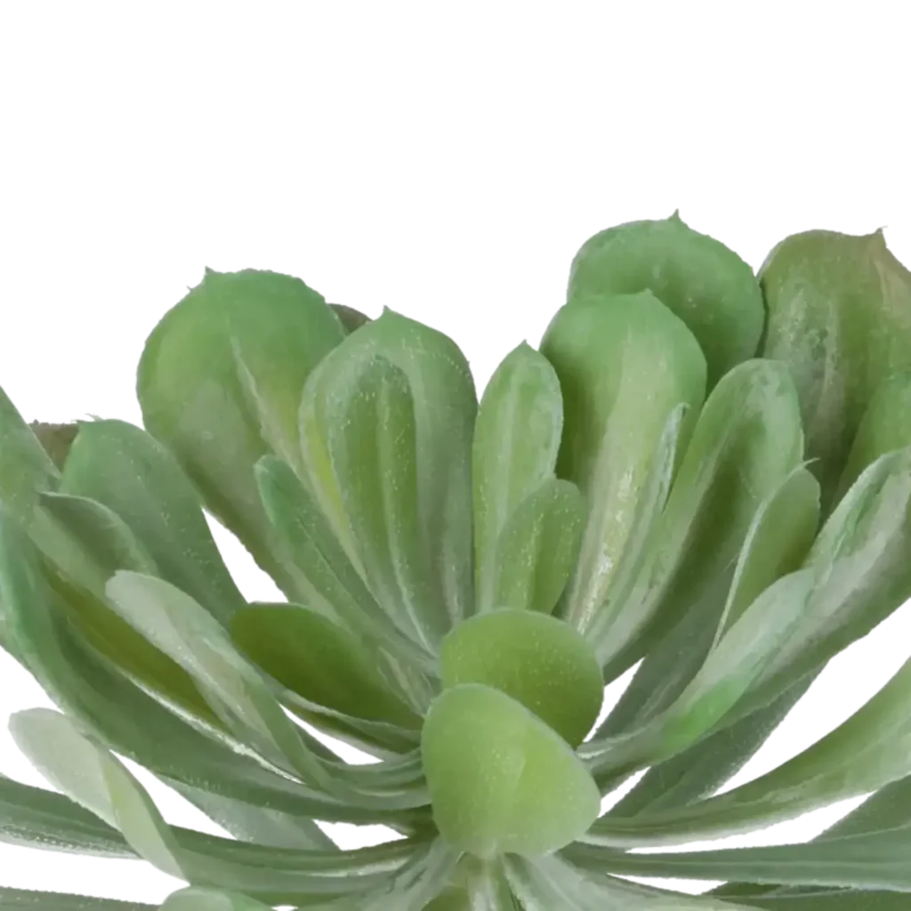 Closeup af Kunstig Echeveria Ø: 20 cm.