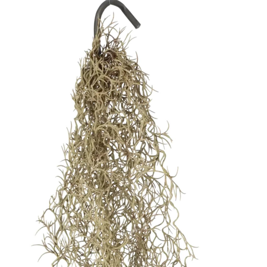 Closeup af Kunstig Tillandsia hængeplante L: 90 cm.