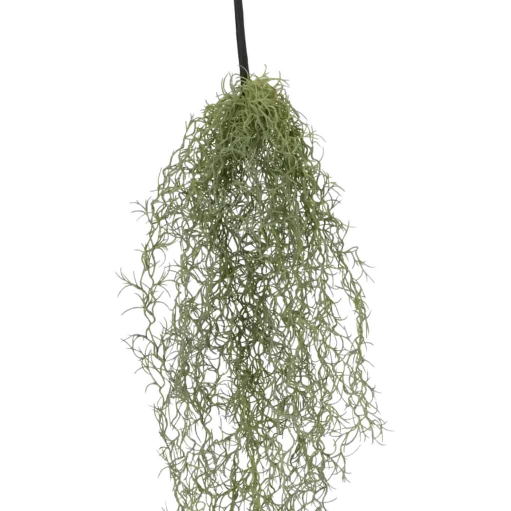 Closeup af Kunstig Tillandsia hængeplante L: 90 cm..