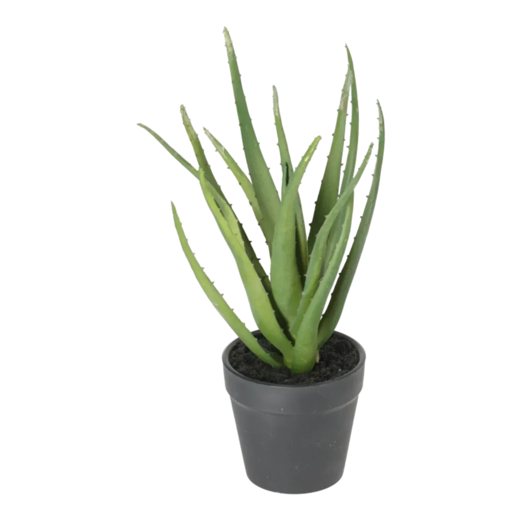Kunstig Aloe Vera H: 30 cm.