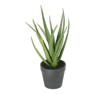 Kunstig Aloe Vera H: 30 cm.