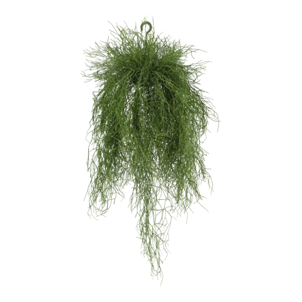 Kunstig Rhipsalis hængeplante L: 100 cm.