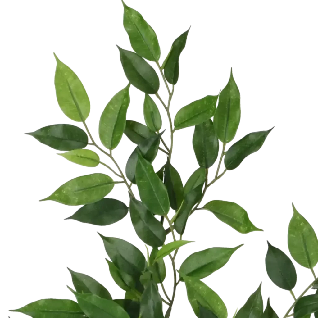 Closeup af Kunstig Ficus Natasja L: 55 cm.