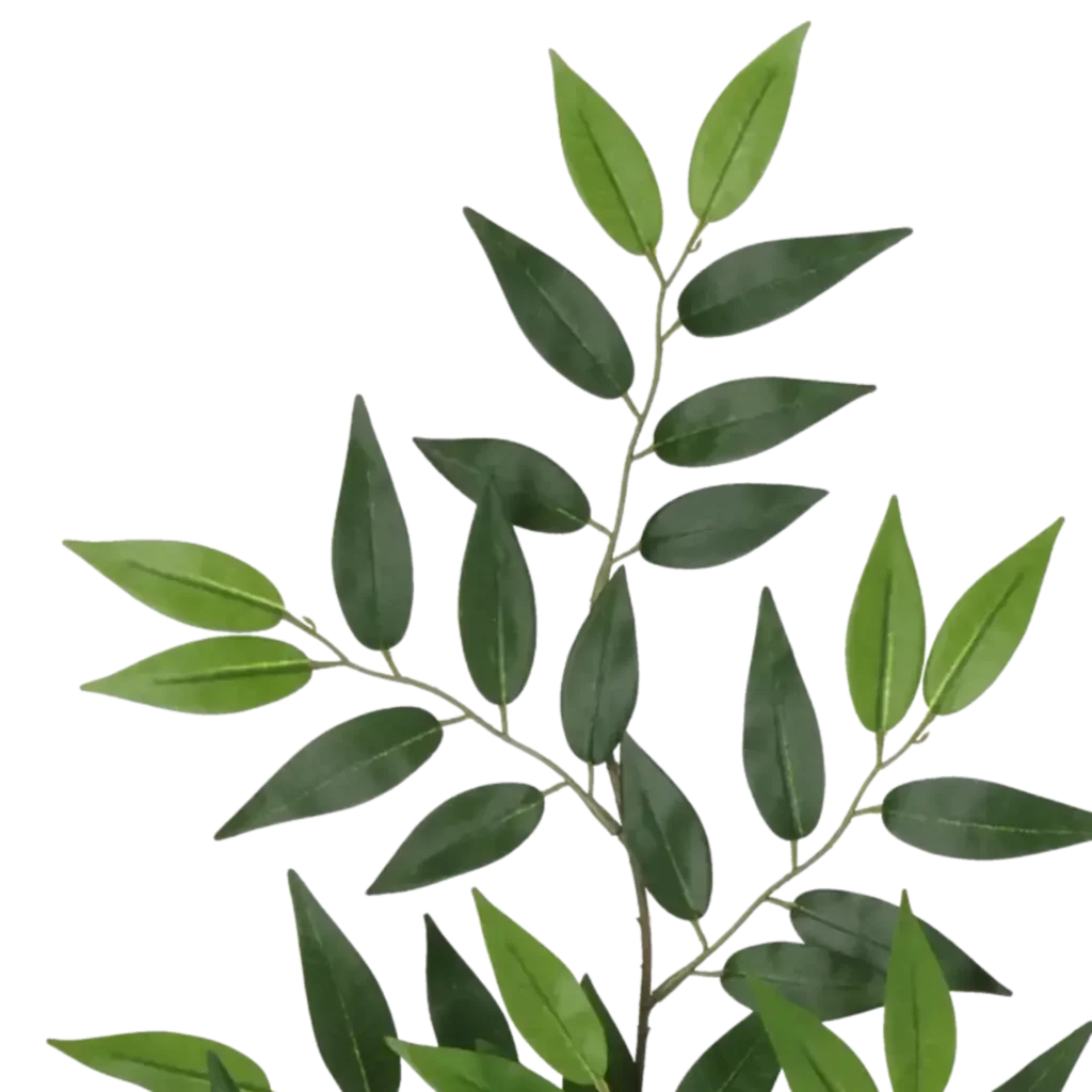 Closeup af Kunstig Ficus L: 71 cm.