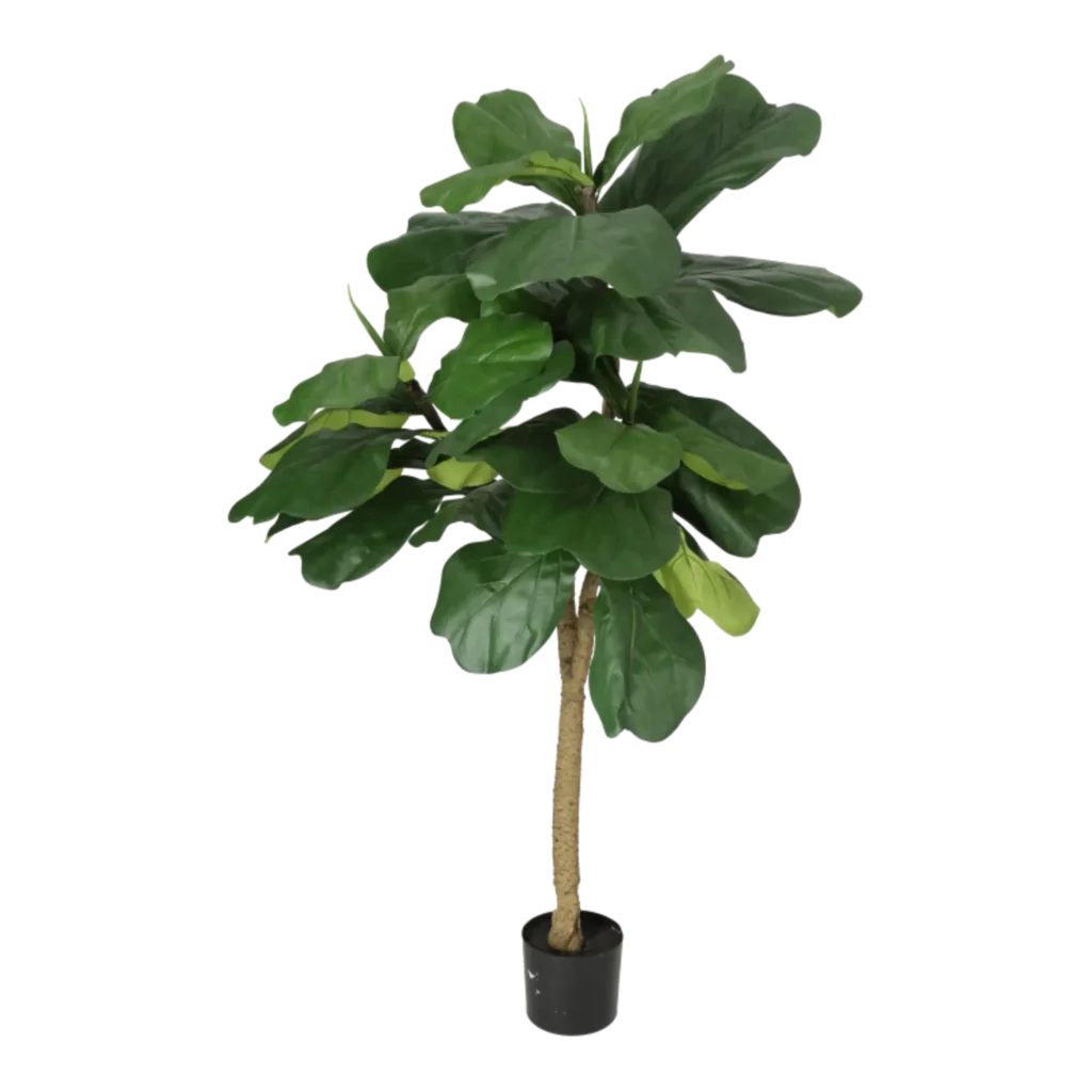 Kunstig Violinfigen UV H: 120 cm.