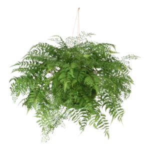 Kunstig Moskugle Ø: 60 cm.