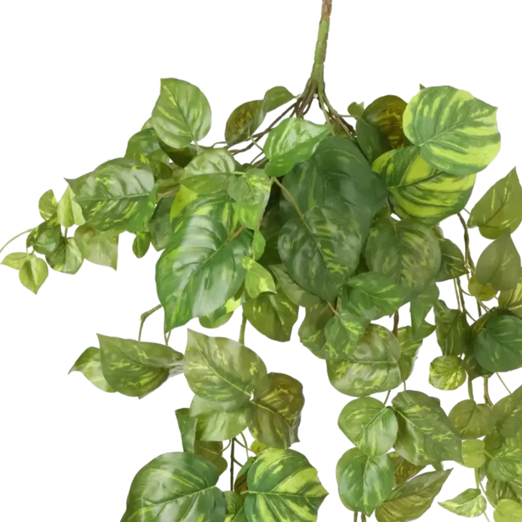 Closeup af Kunstig Pothos hængeplante L : 90 cm.