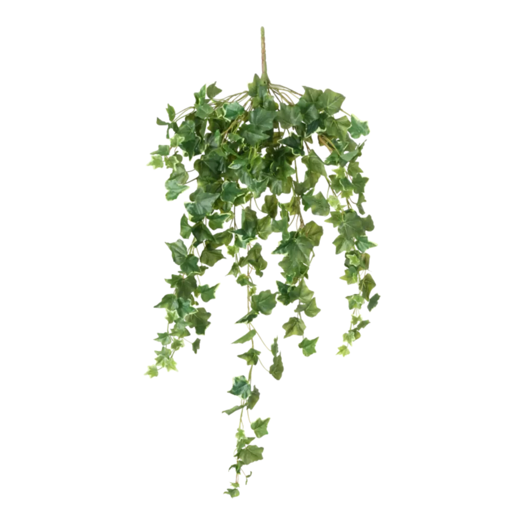 Kunstig Efeu hængeplante L: 100 cm.
