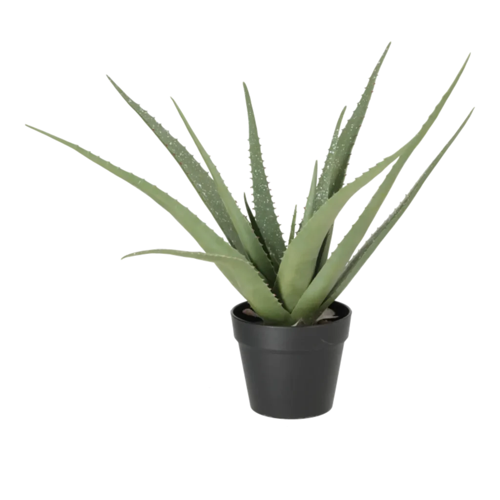 Kunstig Aloe Vera H: 62 cm.