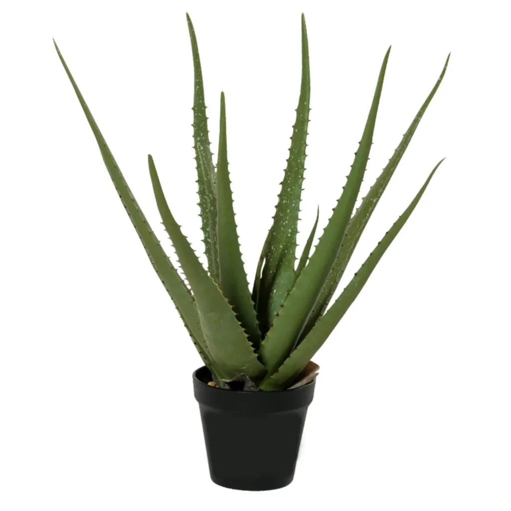 Kunstig Aloe Vera H: 49 cm.