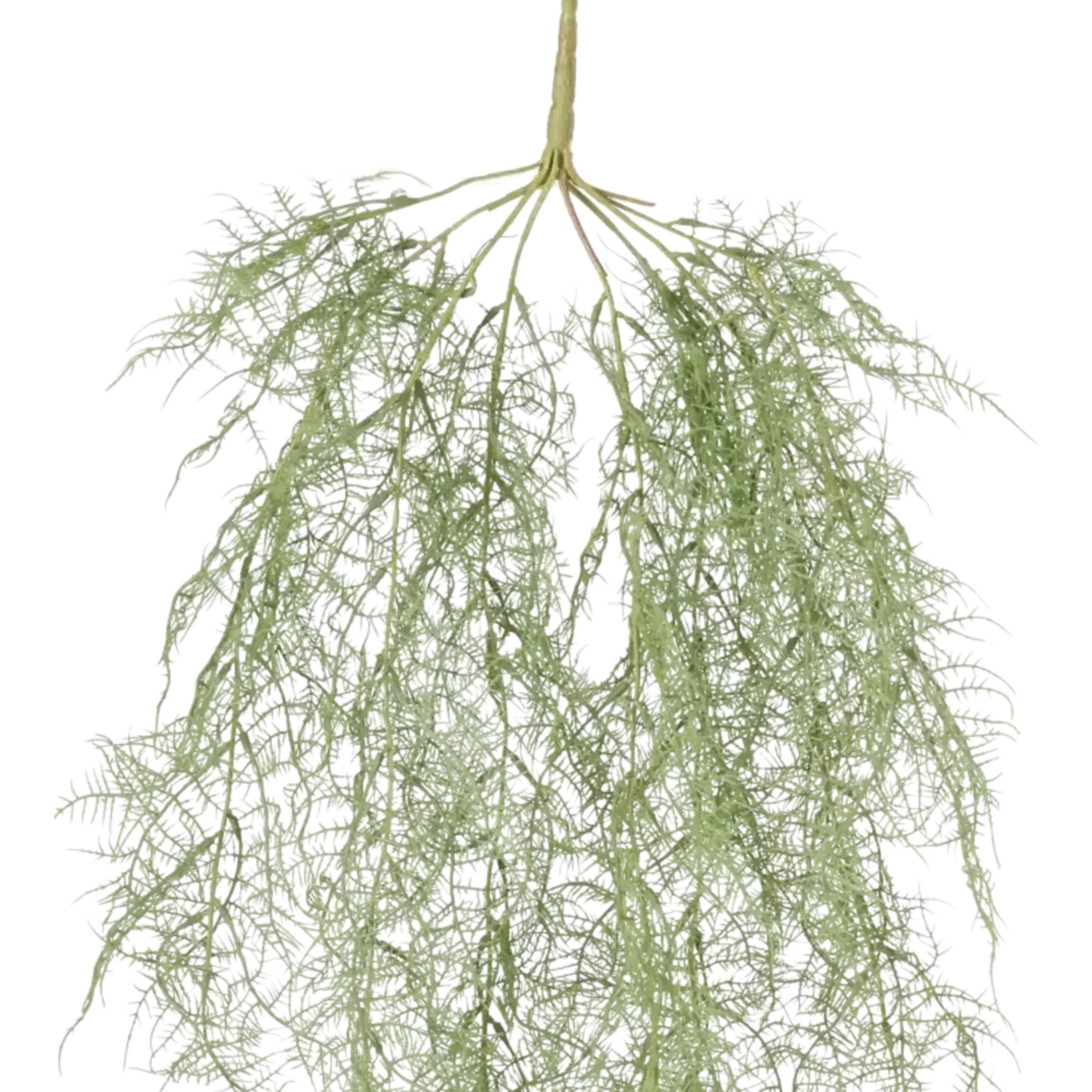 Closeup af Kunstig Asparagus hængeplante L: 110 cm.