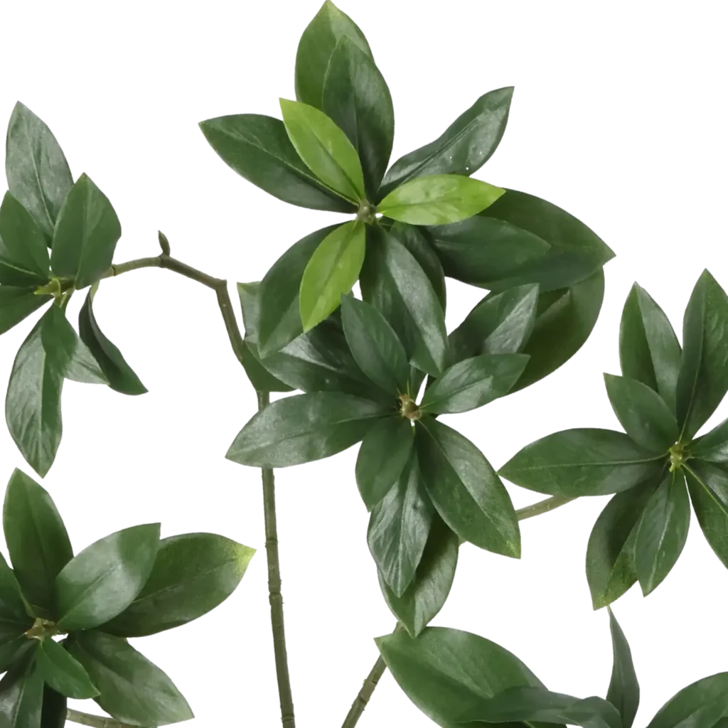 Closeup af Kunstig Euonymus Japonicus H: 55 cm.