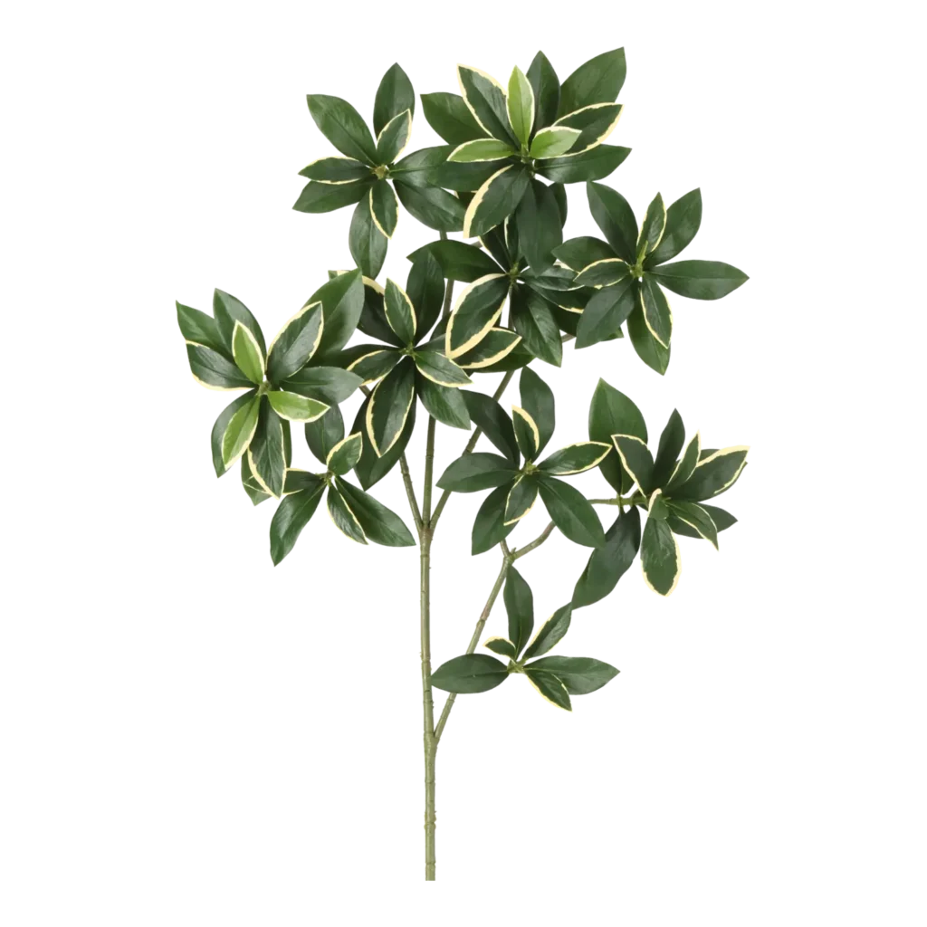 Kunstig Euonymus Japonicus H: 55 cm.