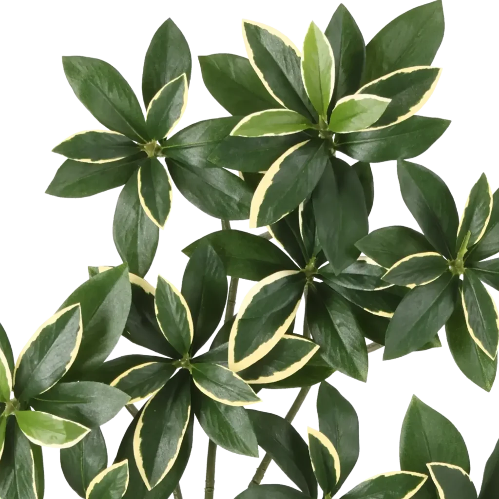 Closeup af Kunstig Euonymus Japonicus H: 55 cm.
