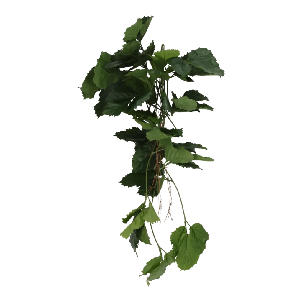 Kunstig Tetrastigma L: 90 cm.